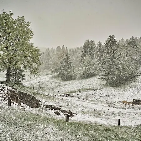 Farm Stay Ana Visnja Gora Exterior photo