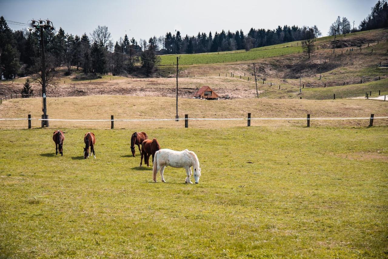 Appartamento Farm Ana Visnja Gora