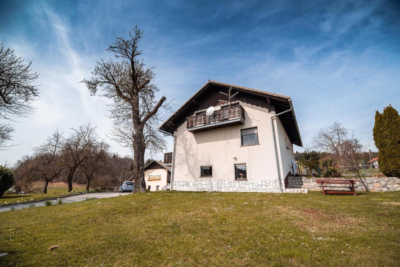 Farm Ana Appartement Visnja Gora