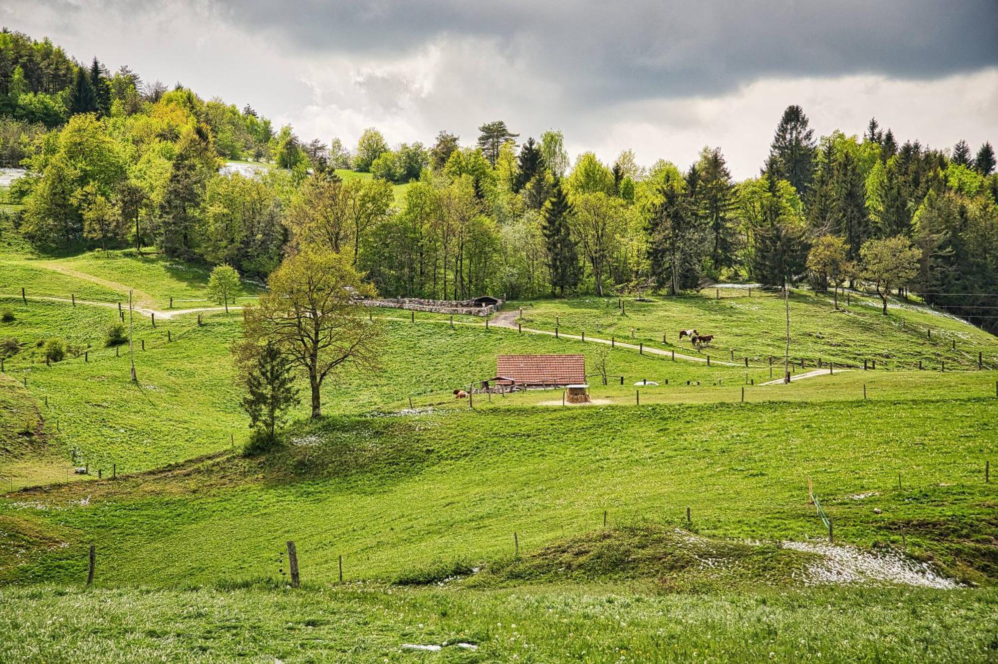 Farm Ana Visnja Gora