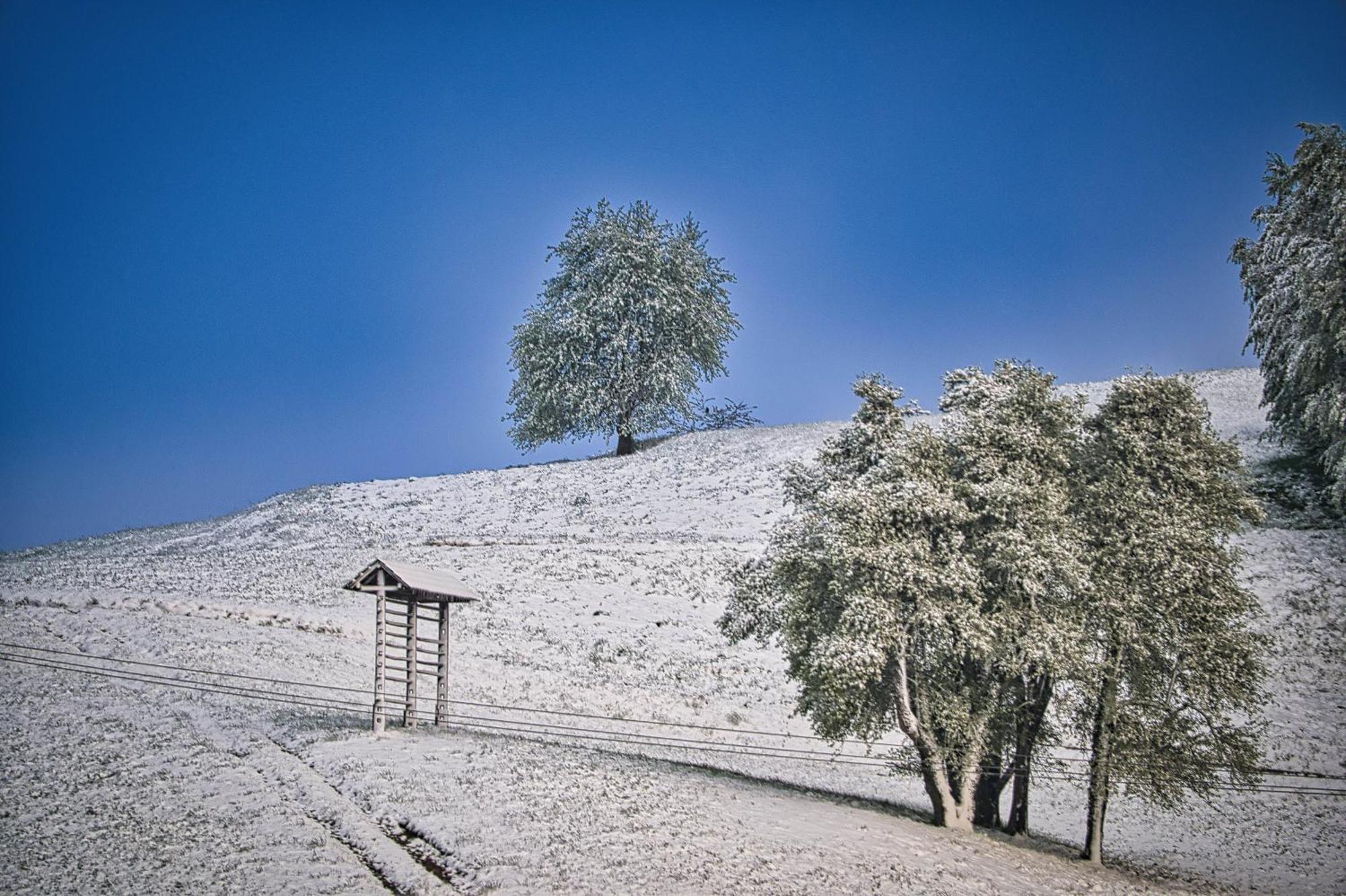 Farm Ana Appartamento *