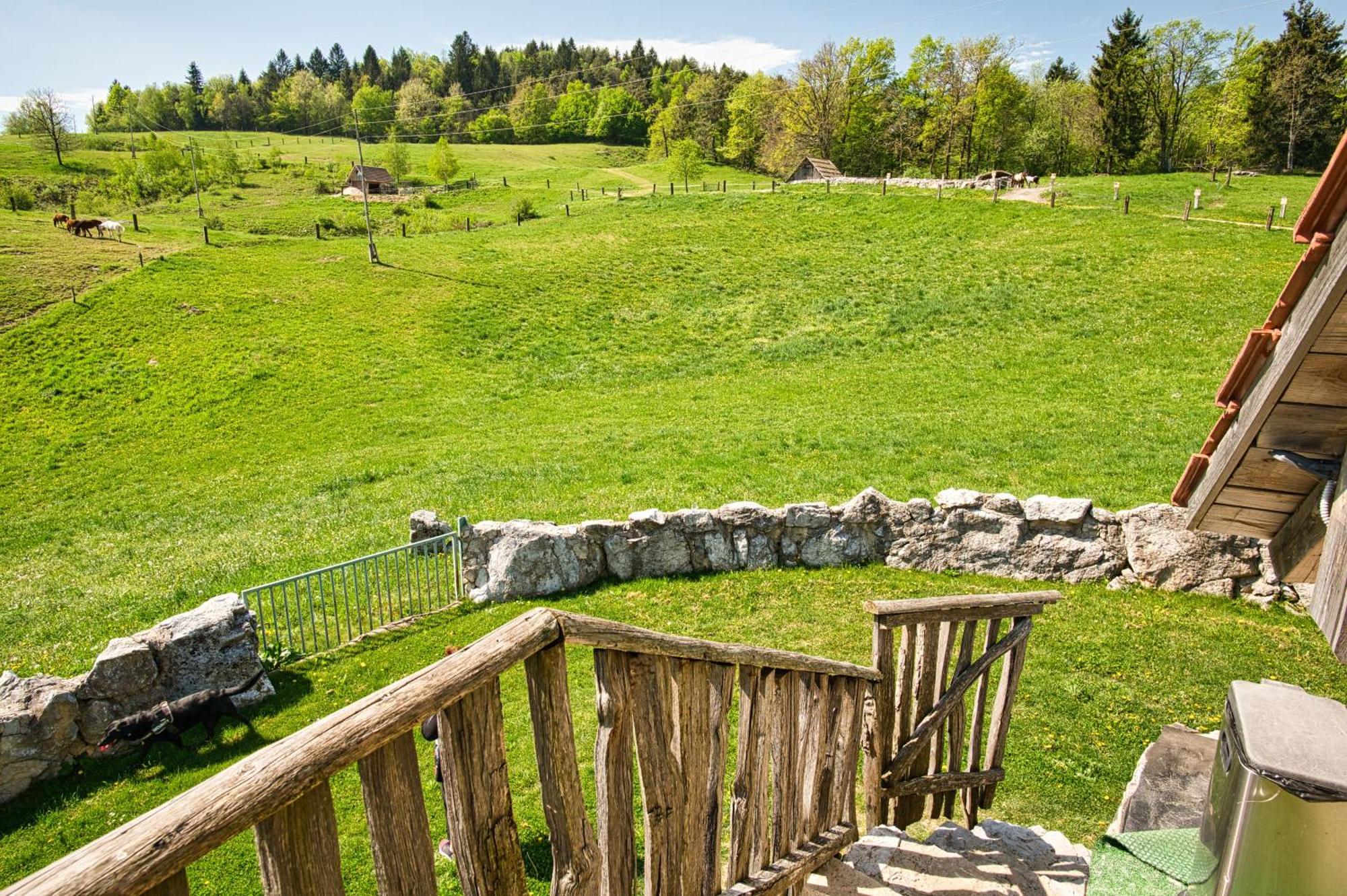 Farm Ana Visnja Gora