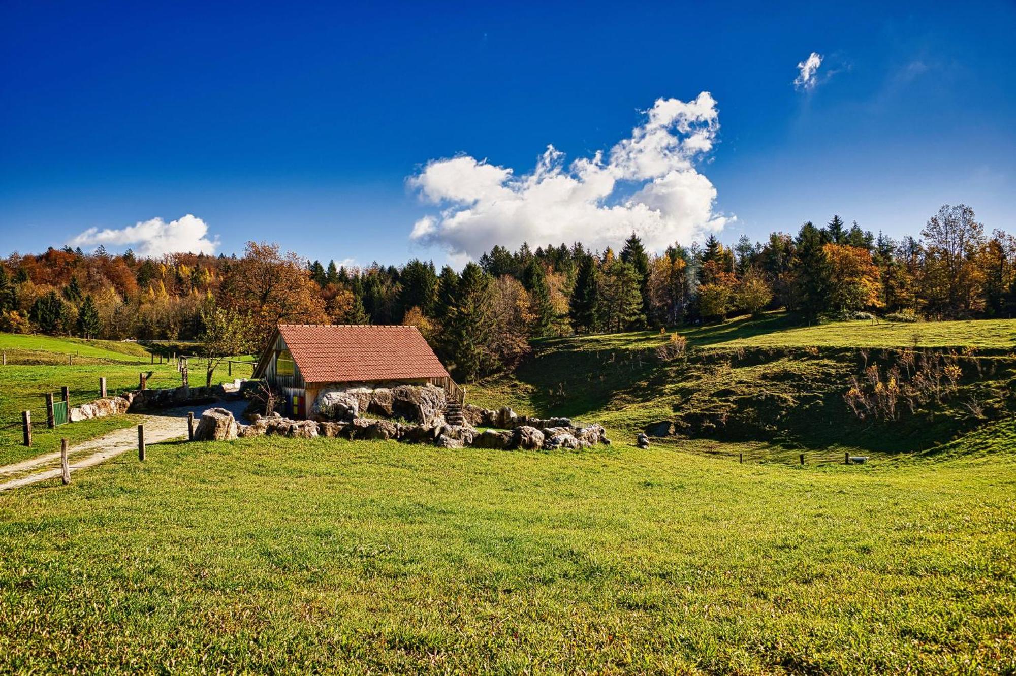 Farm Ana Appartement Visnja Gora
