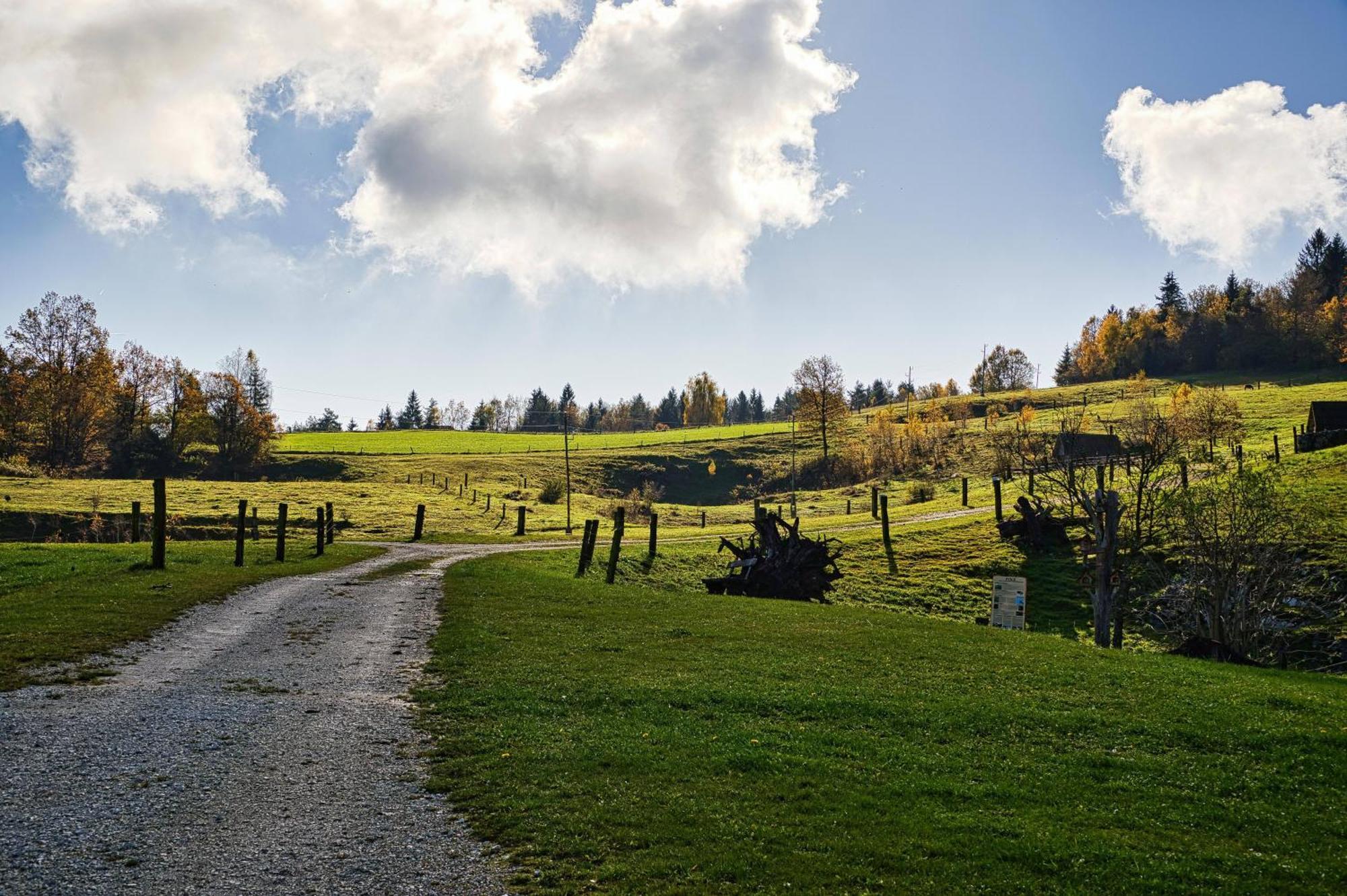 Appartamento Farm Ana Visnja Gora
