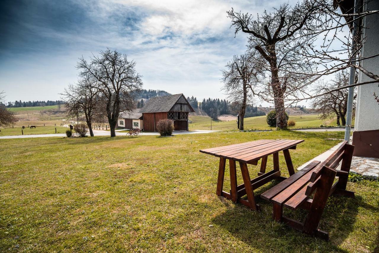 Apartma Farm Ana